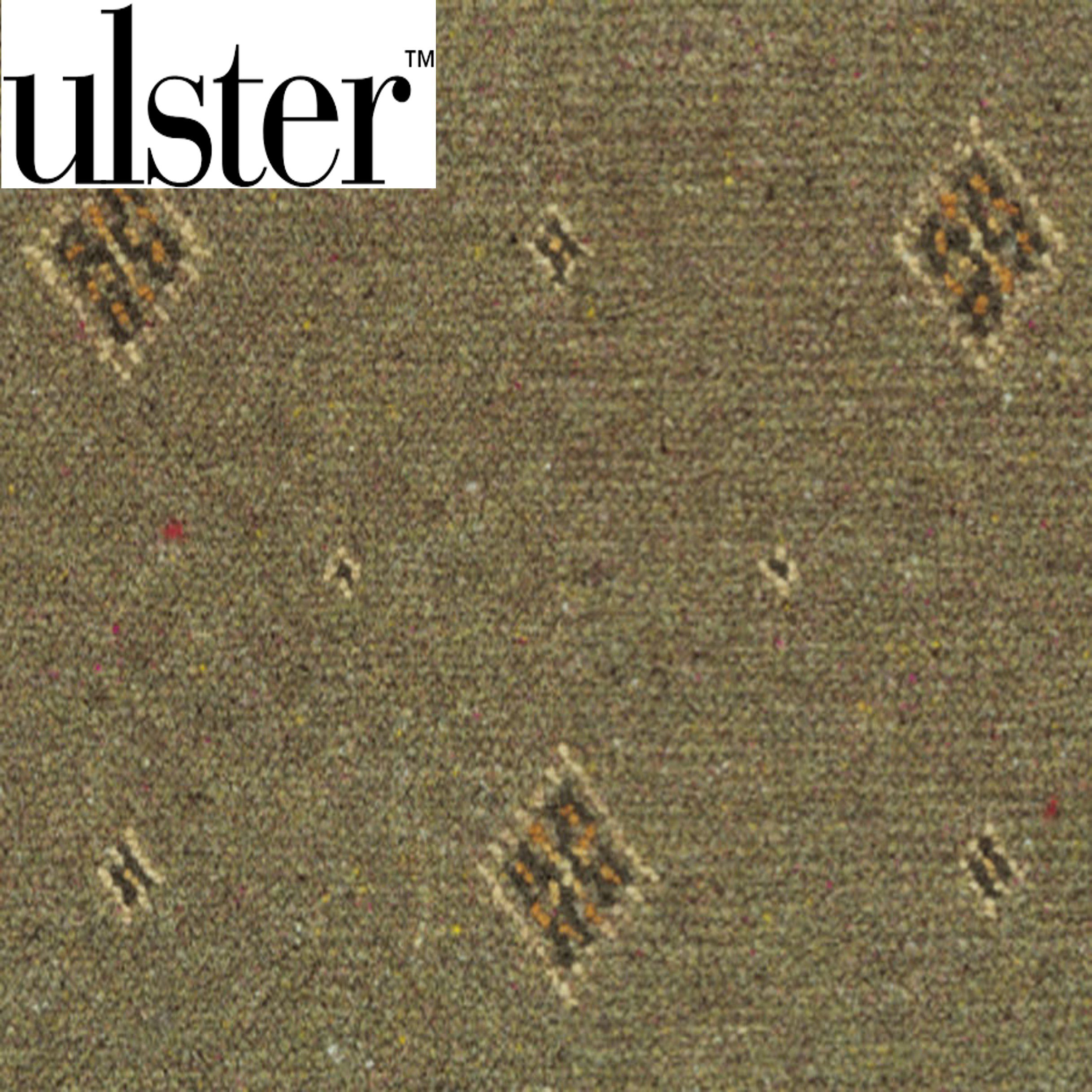 Ulster Motif Forest1