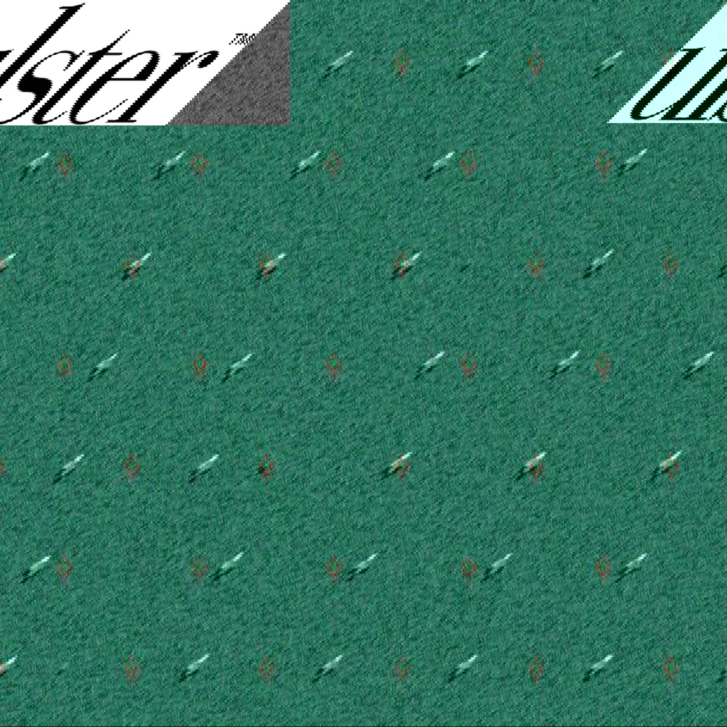 Athenia Pindot Pale Green