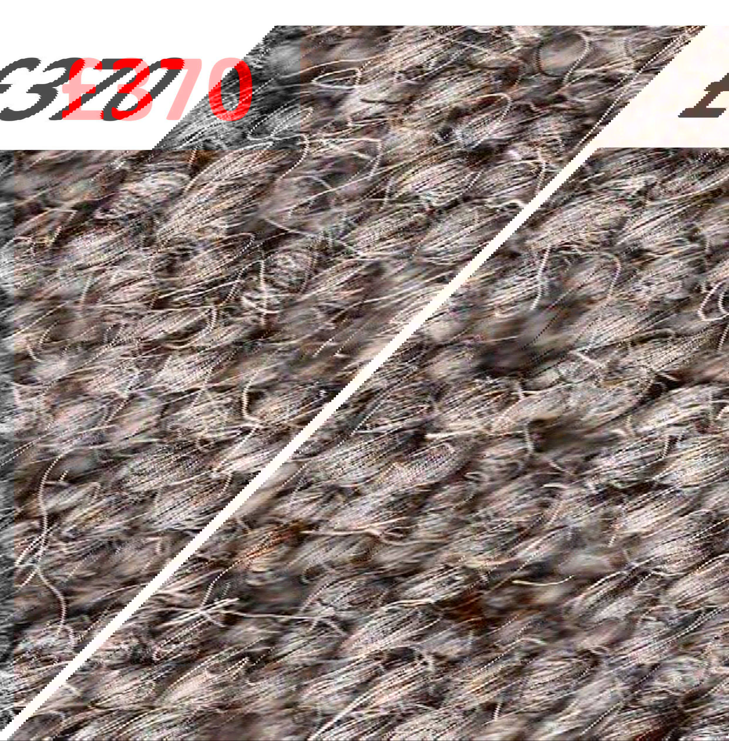 Auckland Hive Ash 376