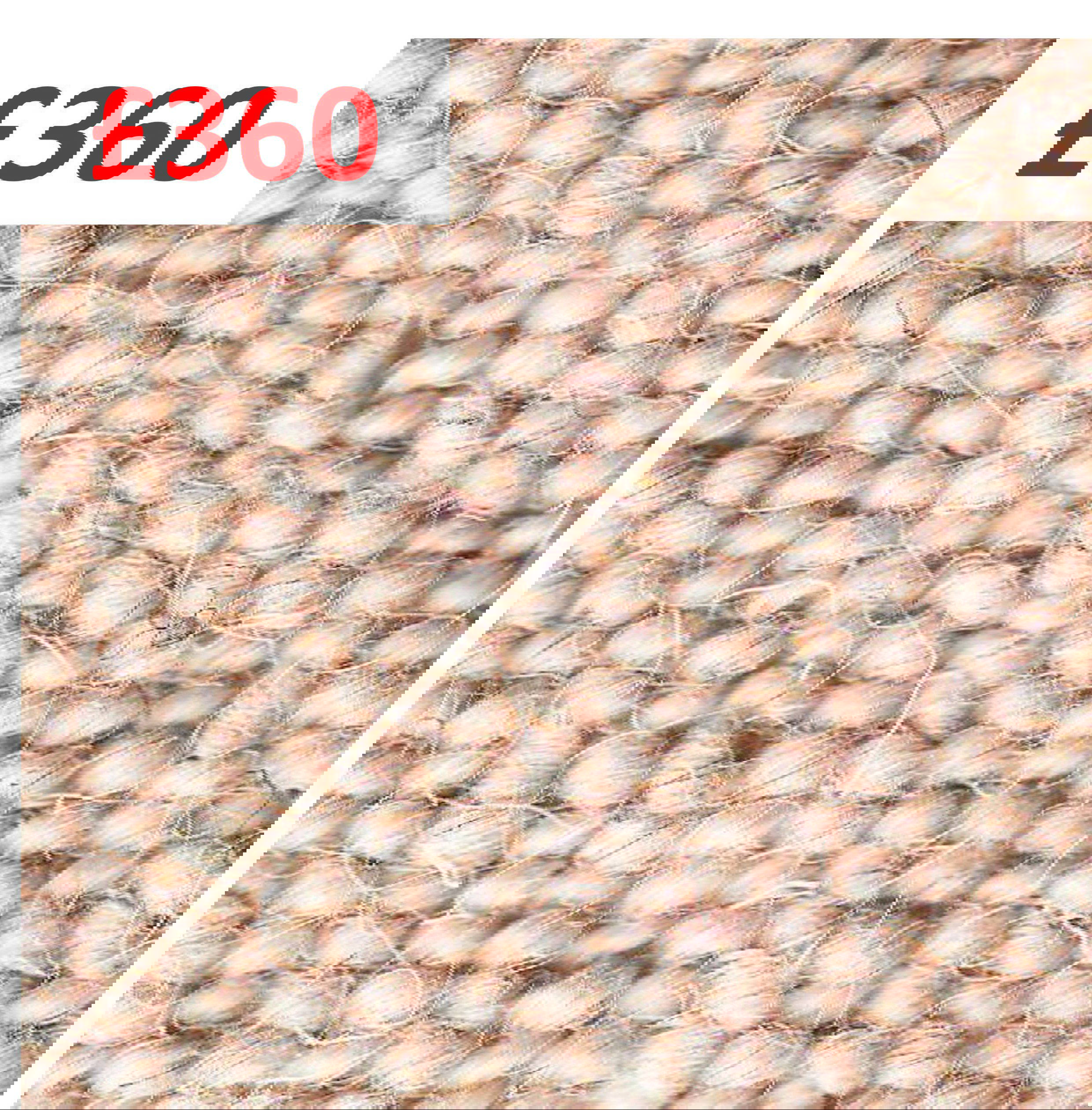 Auckland Sand 269