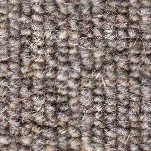 Carpet & Flooring Auckland Ash